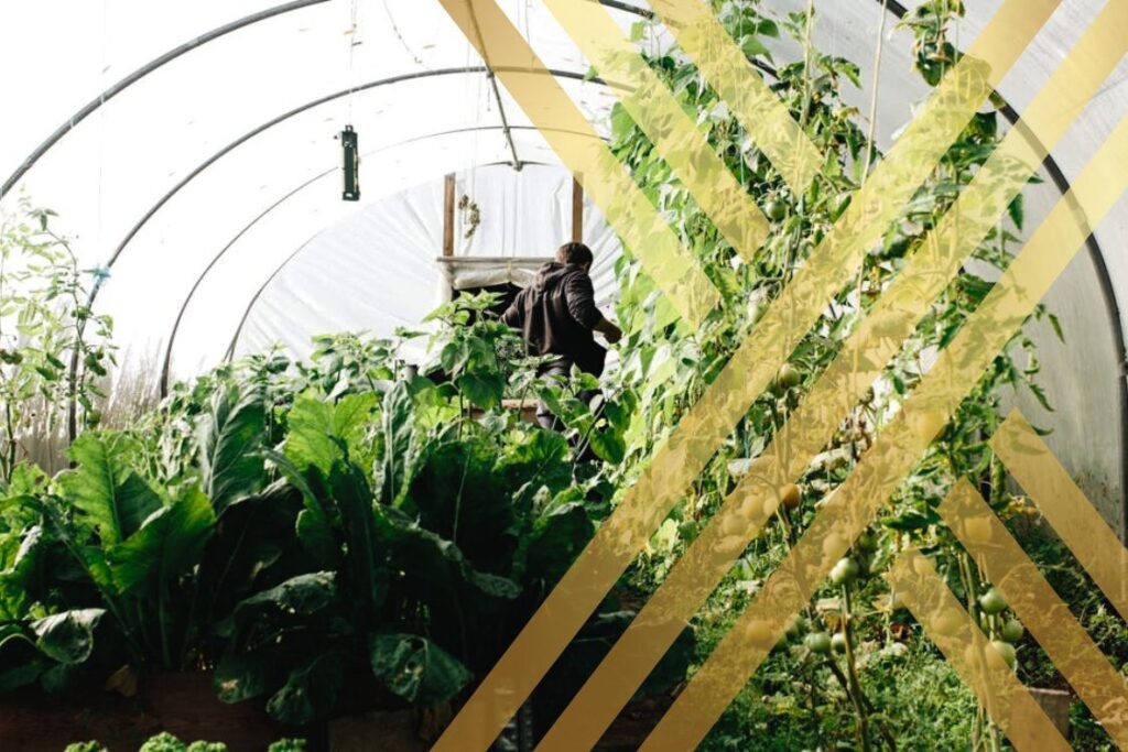 Seasonal Worker Visa UK