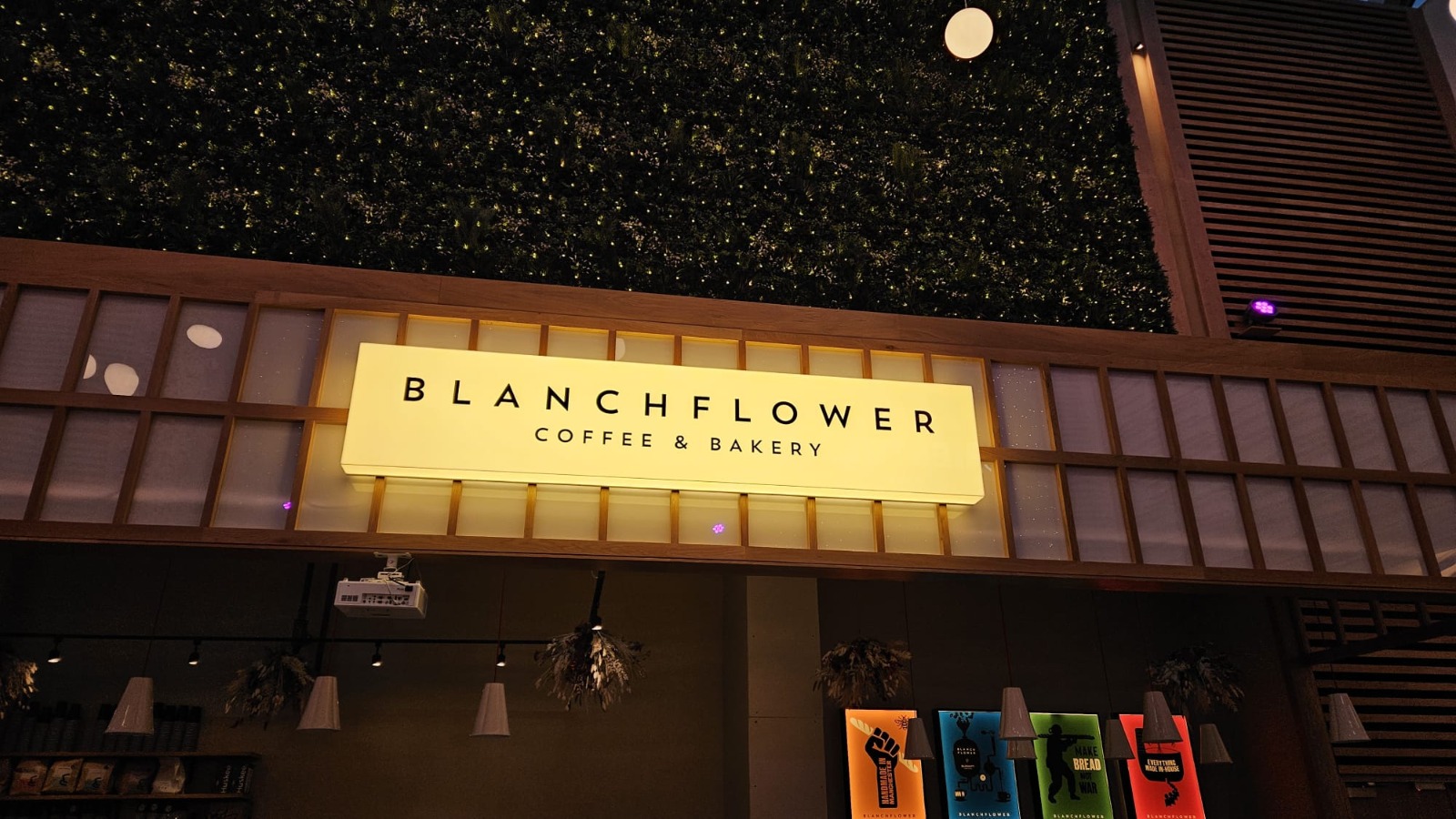 Blanchflower bekry