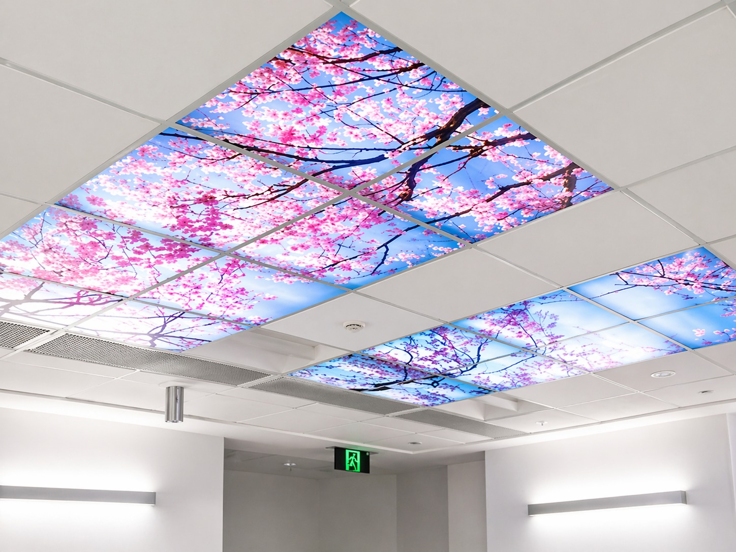 ceiling frame