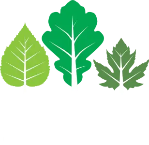 Chapel Street Logo